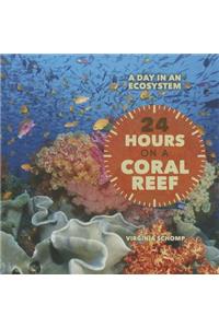 24 Hours on a Coral Reef