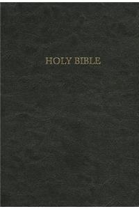 Pursuit of God Bible-NIV