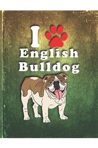 English Bulldog