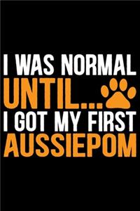 I Was Normal Until I Got My First Aussiedoodle