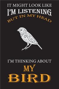 I'm Thinking About My Bird