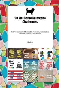 20 Mal Selfie Milestone Challenges