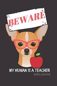 BEWARE My Human is a Teacher