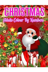 Christmas Adults Colour By Numbers