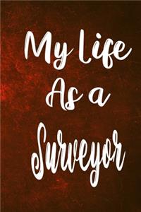 My Life as a Surveyor
