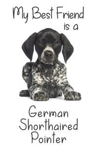 My best Friend is a German Shorthaired Pointer