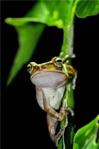 Green Tree Frog Clutching a Branch Journal