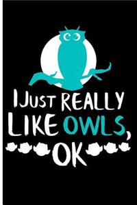 I Just Really Like Owls, Ok