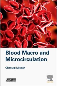 Blood Macro- And Microcirculation