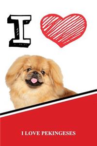 I Love Pekingeses