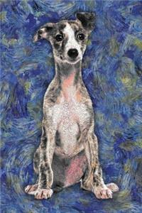 Whippet