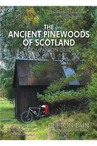 The Ancient Pinewoods of Scotland