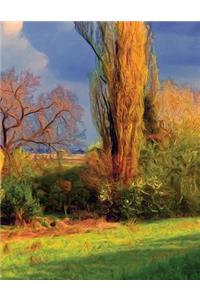 Country Copse Sketchbook