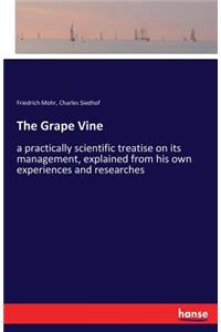 Grape Vine