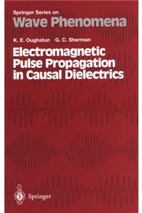 Electromagnetic Pulse Propagation in Casual Dielectrics