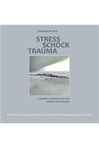 Stress Schock Trauma ... verstehen, (an)erkennen und achtsam überwinden
