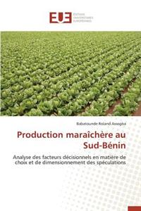 Production Maraîchère Au Sud-Bénin