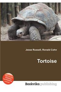Tortoise