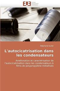 L'Autocicatrisation Dans Les Condensateurs