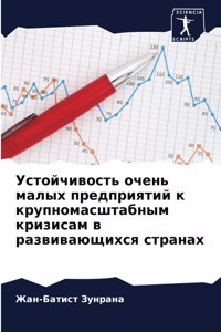 Устойчивость очень малых предприятий к кр