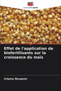 Effet de l'application de biofertilisants sur la croissance du maïs