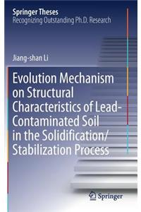 Evolution Mechanism on Structural Characteristics of Lead-Contaminated Soil in the Solidification/Stabilization Process