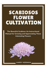 Scabiosos Flower Cultivation