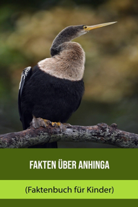 Fakten über Anhinga (Faktenbuch für Kinder)