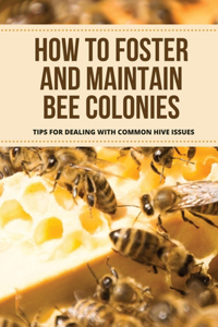 How To Foster And Maintain Bee Colonies