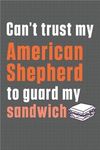 Can't trust my American Shepherd to guard my sandwich