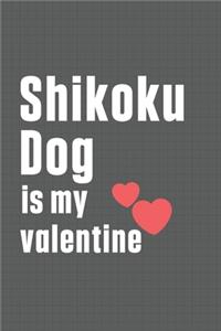 Shikoku Dog is my valentine