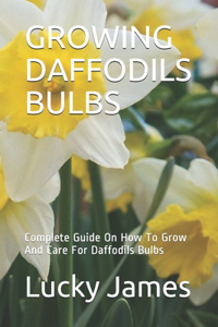 Growing Daffodils Bulbs