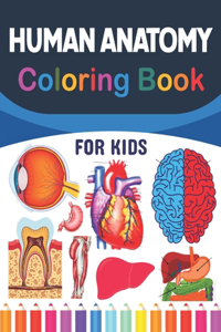 Human Anatomy Coloring Book For Kids