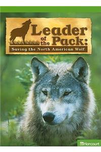 Leader of the Pack: Saving the North American Wolf