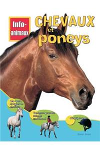 Info-Animaux: Chevaux Et Poneys