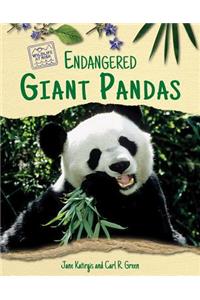 Endangered Giant Pandas