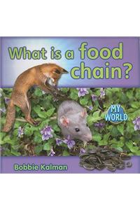 What is a food chain?