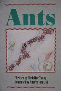 Ants/WW/Lv2/SC (Wwd Sml USA)