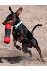Miniature Pinscher Dog Training Journal