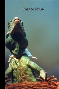 Vintage Lizard