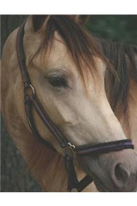 Horseback Rider Blank Sheet Music Paper