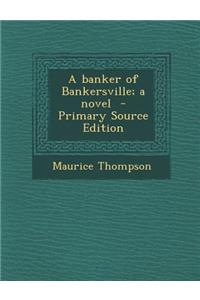A Banker of Bankersville; A Novel