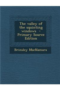 The Valley of the Squinting Windows