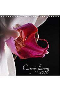 Carnis Florem 2018 2018