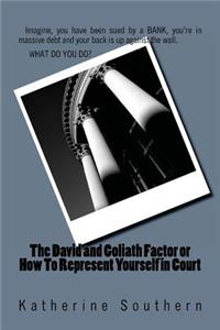 David and Goliath Factor or How To Represent Yourself in Court