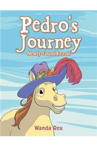 Pedro's Journey