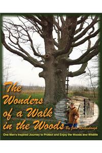 The Wonders of a Walk in the Woods