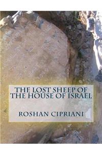 The Lost Sheep Of The House Of Israel
