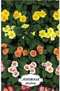 Notebook Journal Dot-grid, Graph, Lined, Blank No Lined - Colorful Flowers: Small Pocket Notebook Journal Diary