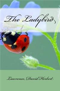 Ladybird